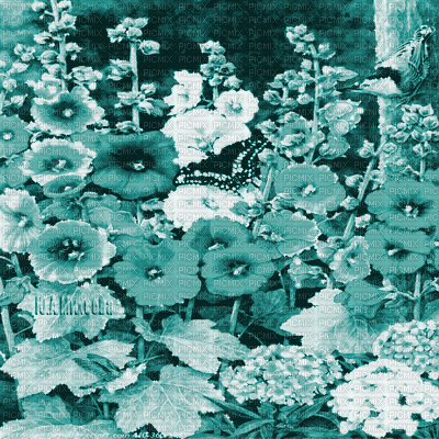 Y.A.M._summer landscape background flowers blue - GIF animado gratis