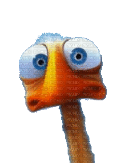 bird gif - Animovaný GIF zadarmo