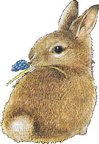 Easter.Bunny.Pâques.Lapin.Victoriabea - Bezmaksas animēts GIF