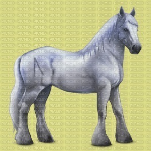 cheval Greyfell - png gratis
