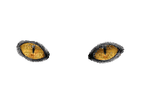 yeux - Безплатен анимиран GIF