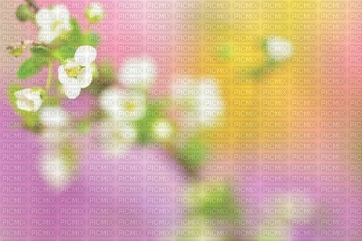 Kaz_Creations Deco  Flowers Backgrounds Background Colours - zdarma png