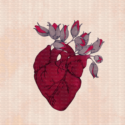 Corazón - GIF animasi gratis