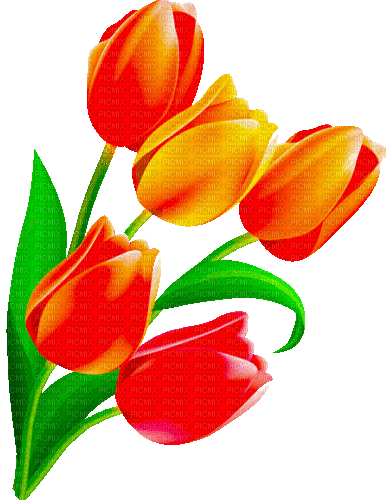 Y.A.M._Spring Flowers Decor - Kostenlose animierte GIFs