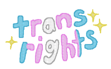 trans rights sparkle ed. - Free animated GIF