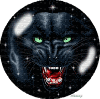 panthere noir - Bezmaksas animēts GIF