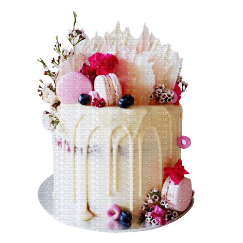 Birthday Cake - безплатен png