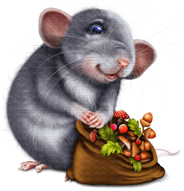 autumn mouse by nataliplus - png gratis