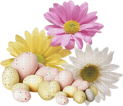 Flowers and Eggs - PNG gratuit