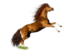 Kaz_Creations Horse - png grátis