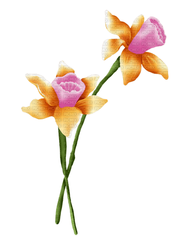 Frühling, Blumen - Free PNG