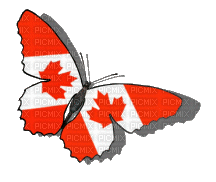Canada bp - Безплатен анимиран GIF