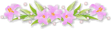 kikkapink deco border flowers pink - Бесплатный анимированный гифка