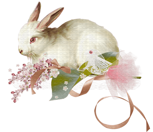 заяц, цветы, яйца, Карина - 無料png