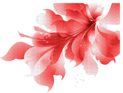 Flower, Flowers, Red, Deco, Decoration, GIF Animation - Jitter.Bug.Girl - GIF animé gratuit