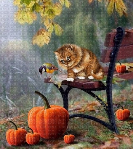 cat and bird with pumpkin - png ฟรี