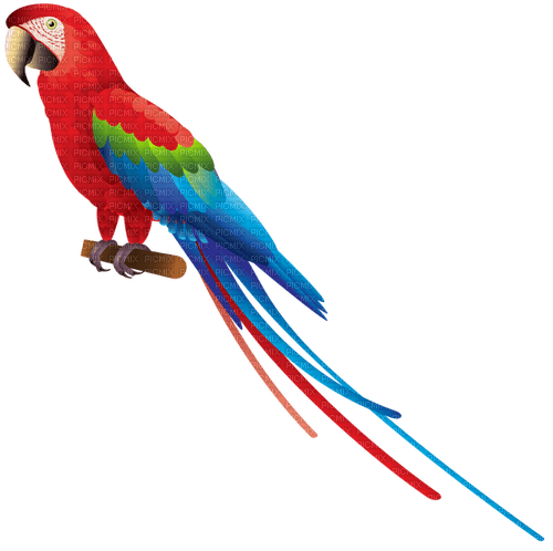 Kaz_Creations Parrot Bird - besplatni png