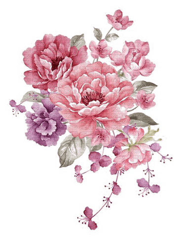 MMarcia aquarela flores fleurs flowers - png ฟรี
