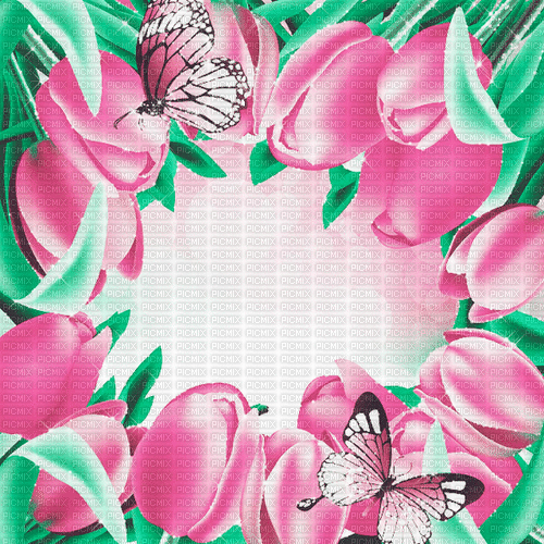 green pink tulpen milla1959 - 無料のアニメーション GIF