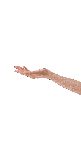 Руки - 免费动画 GIF