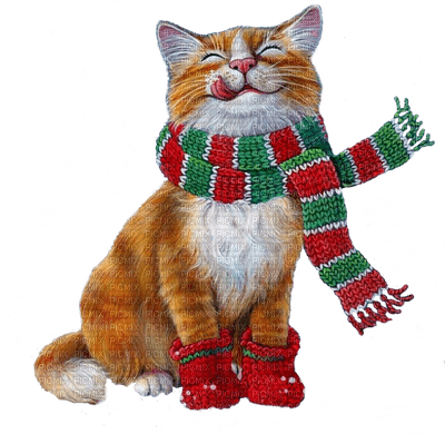 christmas cat, winter - karácsonyi cica - ingyenes png