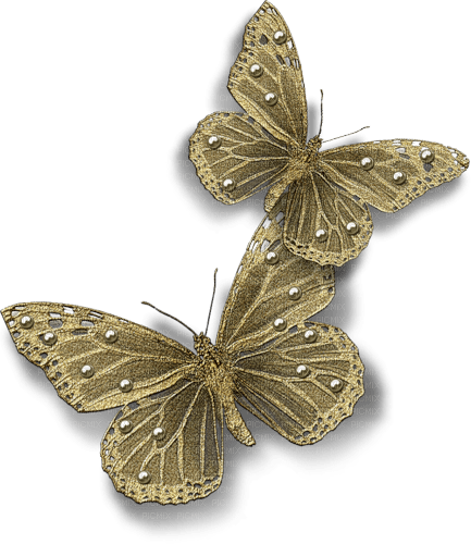 papillonGS - nemokama png