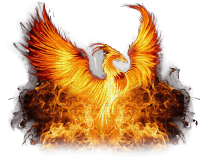 phoenix - bezmaksas png