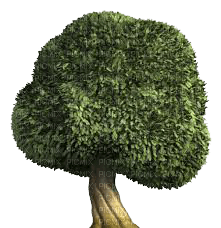 tree katrin - nemokama png
