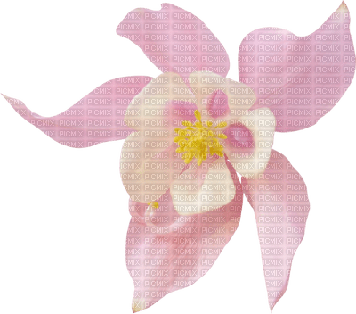Kaz_Creations Deco Flower - png gratis