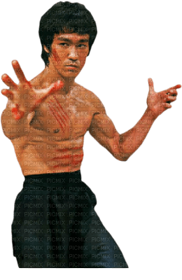 Bruce Lee - ilmainen png