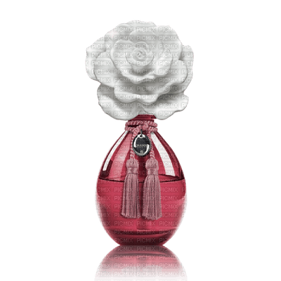perfume Nitsa P - zdarma png