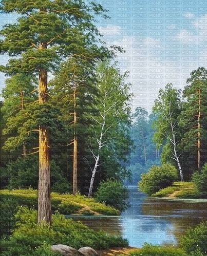 Wald, Fluss, Landschaft, Hintergrund - zadarmo png