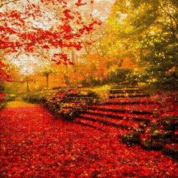 fall background - Free animated GIF