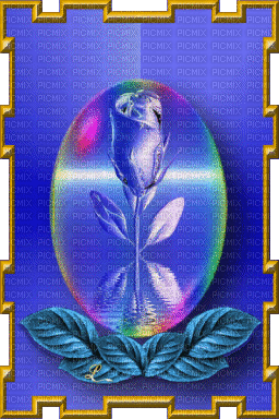 colorful rose - Ilmainen animoitu GIF
