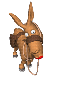 donkey esel baudet farm animal tube animals animaux mignon gif anime animated  animation fun kiss, donkey , esel , baudet , farm , animal , tube , animals  , animaux , mignon ,