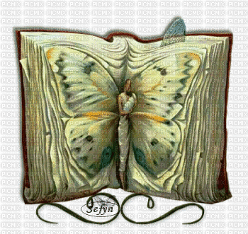 Fairy Book - Gratis geanimeerde GIF