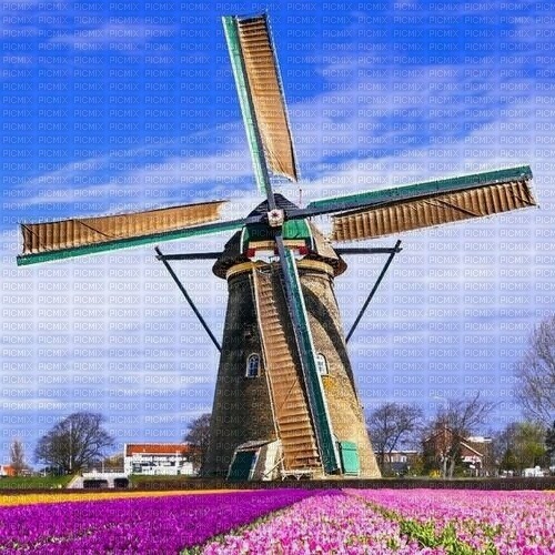 Holland, Frühling - ücretsiz png