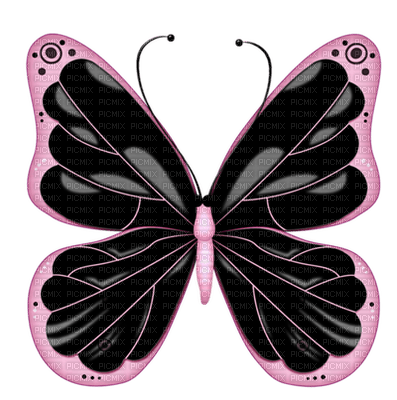 Kaz_Creations Deco Butterfly Insects Colours - png ฟรี