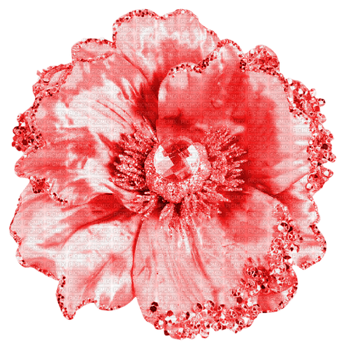 Flower.Red - ingyenes png