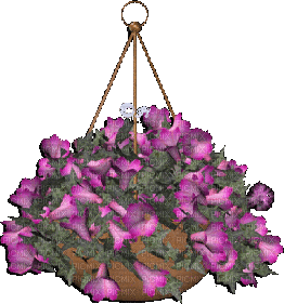 Animated Hanging Basket Petunia Flowers - GIF animado grátis