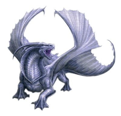 dragon ( - PNG gratuit