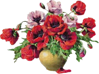 Blumenstrauss - Ingyenes animált GIF
