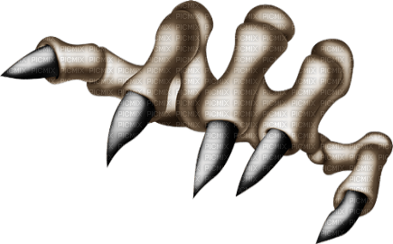 gothic hand by nataliplus - zadarmo png