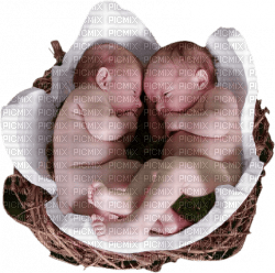 Kaz_Creations Baby Twins - png gratuito