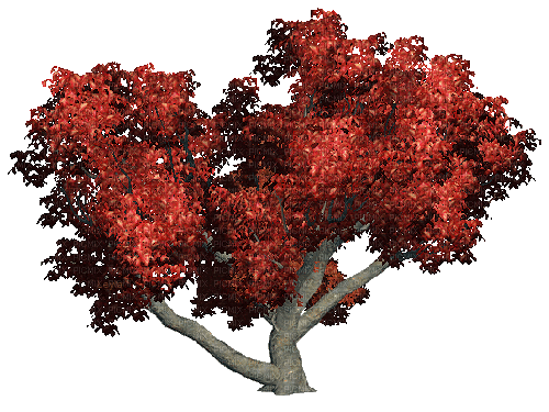 Осень-дерево. - GIF animado grátis