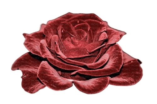 роза - nemokama png