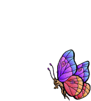 butterflies katrin - Ingyenes animált GIF