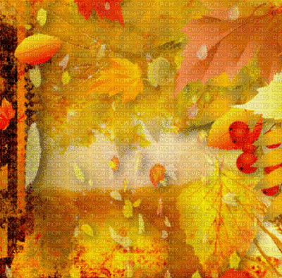 loly33 paysage fond automne - Nemokamas animacinis gif