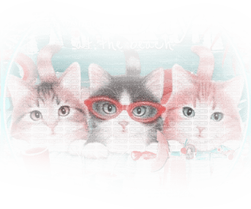 cats ftards sm3 - δωρεάν png