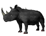 animal(rhinocéros)  HD - Zdarma animovaný GIF